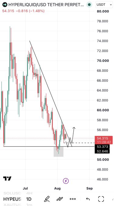 A TradingView candlestick chart of the HYPERLIQUID/USD Tether Perpetual (HYPEUSDT) pair on the daily timeframe shows the price at 54.315, down 1.48%, with a descending trendline highlighting a 33-day downtrend and a marked support zone (grey box around 52-53) where price recently swept liquidity before bouncing, visually supporting the post's analysis of a potential breakout setup.