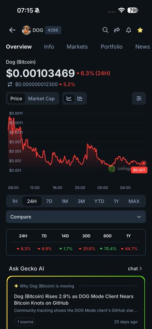 A cryptocurrency tracking app displaying DOG (Bitcoin) at $0.00103469, down 6.3% over 24 hours, with a price chart showing the token's decline and an AI summary titled 'Why Dog (Bitcoin) is moving'.