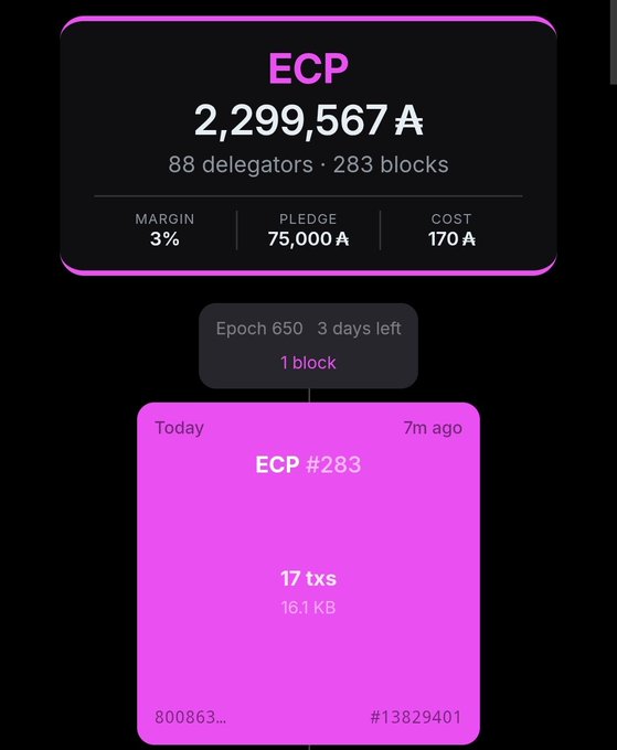 A screenshot of a cryptocurrency dashboard shows 'ECP' with 2,299,567 tokens, 88 delegators, 283 blocks, a 3% margin, 75,000 A pledge, and 170 A cost, alongside epoch and transaction details.