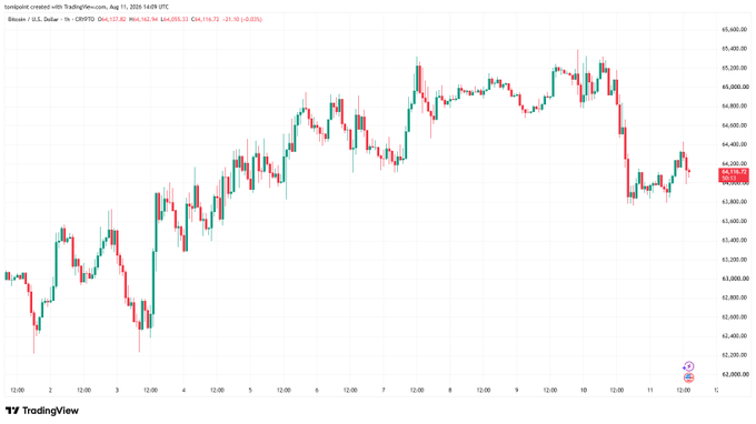 A TradingView candlestick chart showing Bitcoin's price movement on August 11, with the title "tomipoint created with TradingView.com" and BTC/USD trading around $64,200.