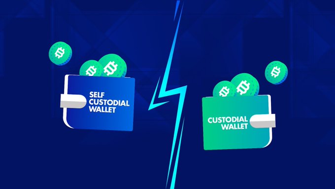 The image contrasts a blue "Self Custodial Wallet" with a green "Custodial Wallet," each containing dollar-signed coins, separated by a lightning bolt to highlight the difference between users holding their own keys versus a third party controlling them. This visual ties directly to the post about the SEC's proposal to require investment advisers to hold crypto keys, effectively shifting users away from self-custody toward custodial arrangements.