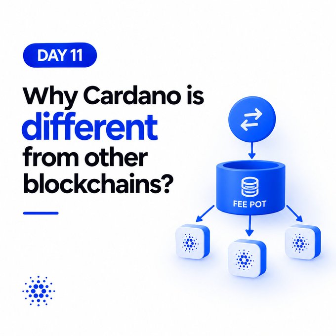 A promotional graphic titled 'DAY 11 - Why Cardano is different from other blockchains?' featuring a diagram of a 'FEE POT' distributing to network participants.
