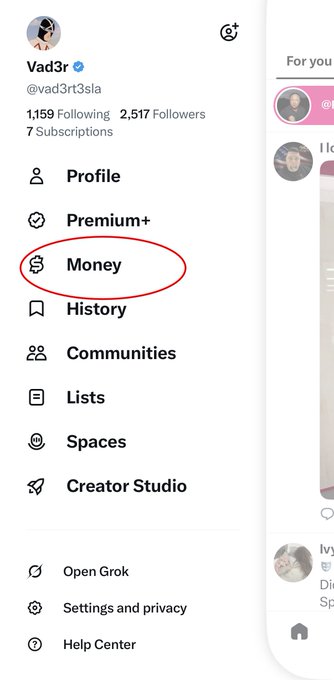 A screenshot of X (Twitter) profile menu for user 'Vad3r' (@vad3rt3sla) showing account stats (1,159 Following, 2,517 Followers) and navigation options, with the 'Money' option circled in red.