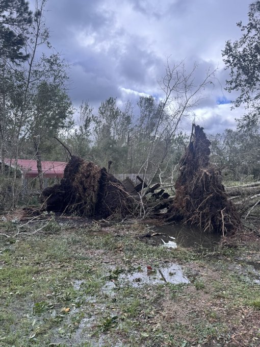 A photograph of storm damage showing an uprooted tree with exposed roots, debris scattered across a wet yard, and a red-roofed structure visible in the background under a cloudy sky.