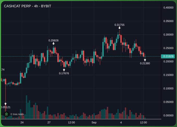A 4-hour candlestick chart of CASHHCAT PERP on BYBIT shows the token's price movement from approximately $0.05121 to a high of $0.31755 before declining to around $0.21380, with the current price marked at $0.21929, illustrating the volatility and recent pullback referenced in the post about CASHCAT's position as the cycle leader.