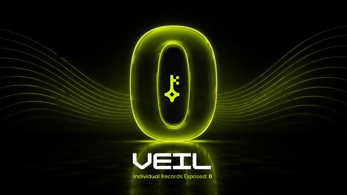 The image prominently displays the word "VEIL" with the text "Individual Records Exposed: 0" below it, emphasizing zero data exposure. A large, glowing '0' with a key symbol inside reinforces the theme of security and confidentiality hinted at in the post's description of "VEIL: confidential data network".