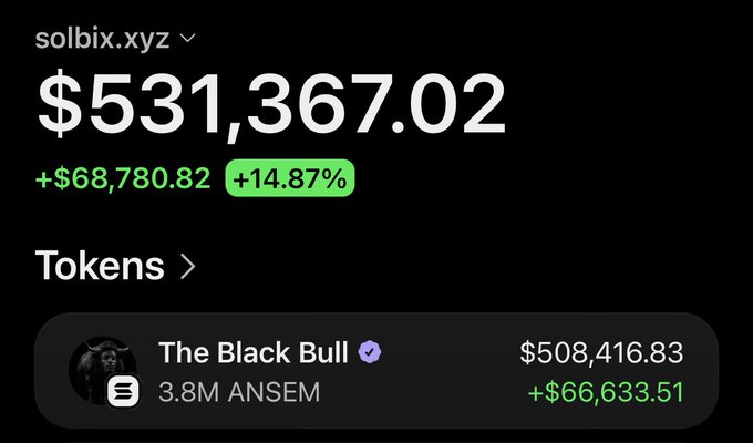 A screenshot of a crypto wallet on solbix.xyz showing a balance of $531,367.02 (+14.87%), with the "The Black Bull" token holding 3.8M ANSEM valued at $508,416.83 (+$66,633.51), illustrating the post's claim of an unclaimed Ansem airdrop that grew from ~$30K to over $500K in about a day.