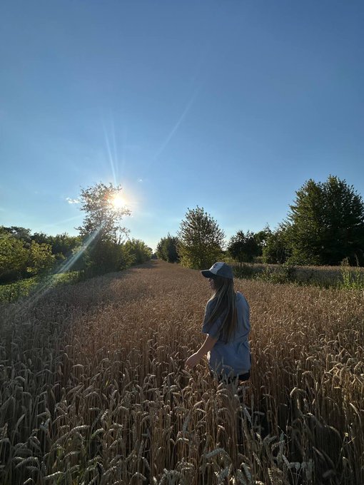 A woman in a gray t-shirt and white cap walking through a wheat field with trees in the background under a bright sunny sky with sun flares.