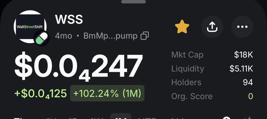 A cryptocurrency tracker showing WSS (WallStreetShift) token priced at $0.0₄247, up +102.24% (1M), with market cap $18K, liquidity $5.11K, 94 holders.
