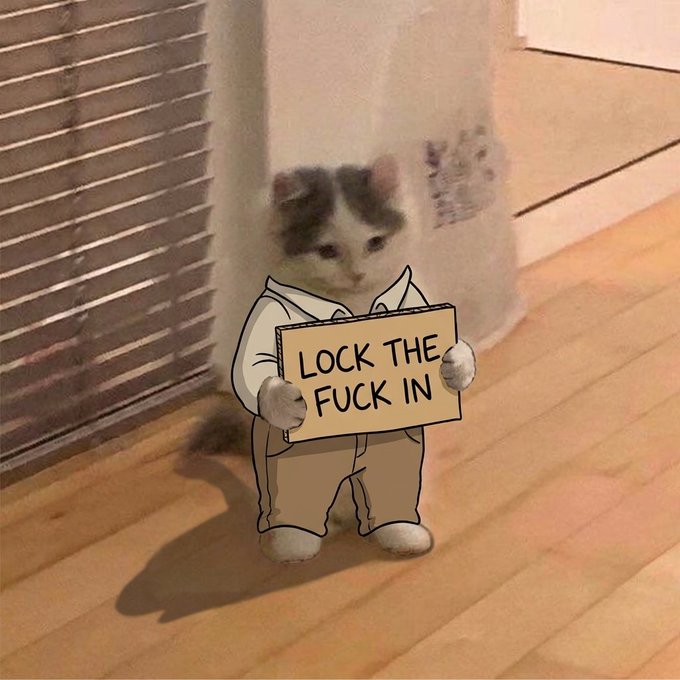 An edited meme of a cat sitting on a wooden floor wearing a white shirt and brown pants, holding a cardboard sign that reads 'LOCK THE FUCK IN'.