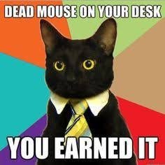 A meme image of a black cat wearing a white shirt and yellow tie against a colorful background, with text reading 'DEAD MOUSE ON YOUR DESK YOU EARNED IT'.