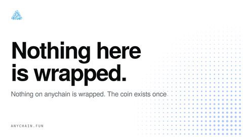 A minimalist white and blue ad for anychain.fun states 'Nothing here is wrapped. Nothing on anychain is wrapped. The coin exists once.'