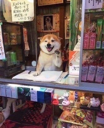 A Shiba Inu dog sits behind the counter of a Japanese shop with its paw raised, surrounded by various snacks, candies, and Japanese text signs including what appears to be "大盛りサービス" (large serving service) and "コーヒー" (coffee) labels, with one sign mentioning "みなさま" (everyone), as if greeting customers in a humorous "OgDoge" (Original Doge) internet meme style.