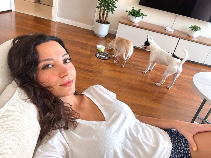 A woman reclines on a light-colored couch while two dogs (one tan and one white) interact near food bowls on a wooden floor in a modern living room.
