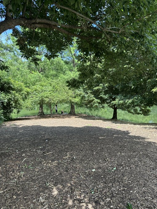 A shaded park area with large trees, mulch ground cover, and a body of water visible in the background.