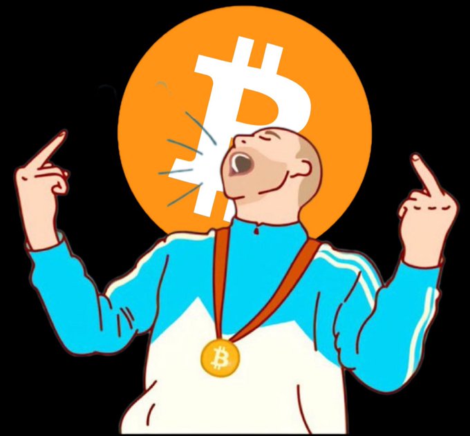 !"This is a man with no idea what he's doing!", "The man has a beard", "It looks like money".