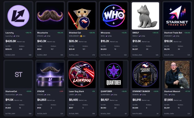 A cryptocurrency tracking dashboard displaying 12 tokens including Launchy, Moustache, Shielded Cat, Whoocares, $WOLF, Starknet Trade Bot, StarknetCat, STACHE, Laser Dog Stark, QUANTOBER, STARKNET BUNKER, and Starknet Mascot, all showing STRK as their launch token with various market caps and percentage changes.