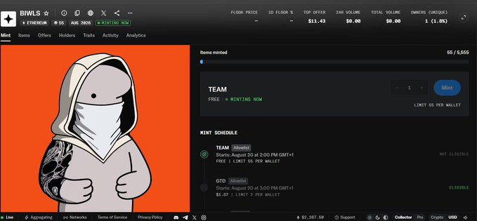 The image shows a Magiceden listing page for the "TEAM" NFT collection with $11.43 top offer on a free minting (minting now) status, displaying 55/5,555 items minted, while the left side features the collection's hooded character artwork on an orange background. This visual confirms the post's claim of an active free mint with a $1.38 fee and existing top bids for the "TEAM" collection.