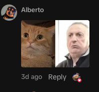The image features two pictures of cats, one being an actual cat with a brown coat and white paws, while the other is a photo of a man wearing a black jacket. The caption below the images reads "I FOUND THE PERFECT NARRATIVE FOR USDC: tiktok.com/@pennytheginge ... So this cat named Penny", which suggests that the image was taken on social media, possibly as part of a meme or trend related to cats and their owners. The post also mentions that the cat's name is "Penny" and it has received 9M views and overall likes.