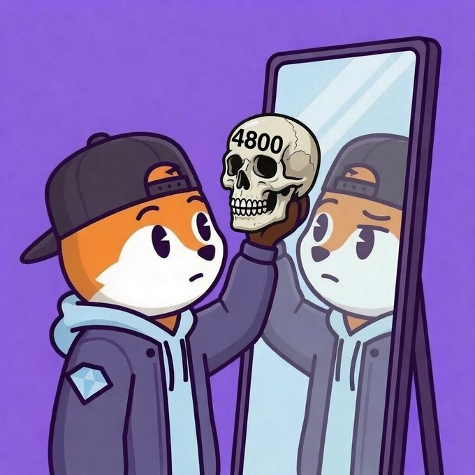Cartoon illustration of an orange dog character in a cap and jacket looking into a mirror, which reflects a skull marked '4800.'