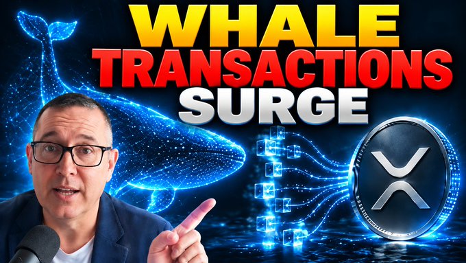 A man with glasses and a microphone gestures toward an image of a digital whale made of blue particle light, set against a dark background featuring the XRP coin logo and the bold text "WHALE TRANSACTIONS SURGE," visually tying into a post about a Wall Street secret and an XRP price prediction for December 6.