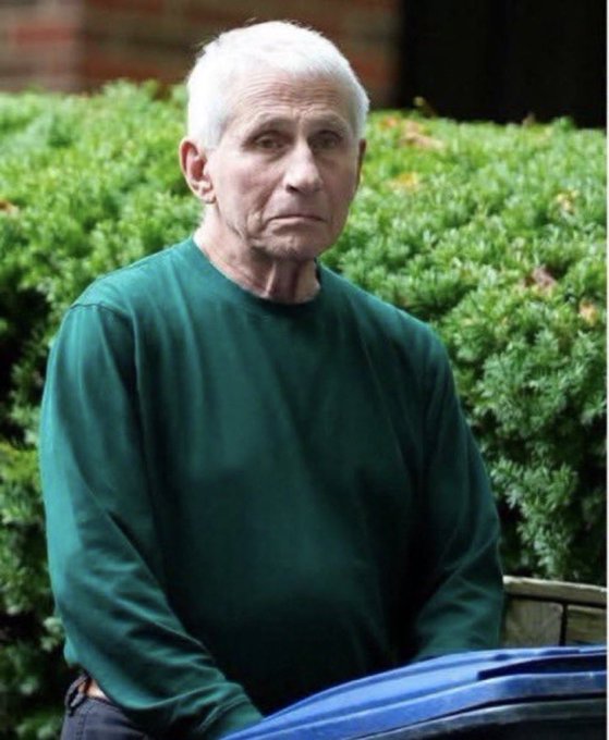 A photo of an older man with white hair wearing a green long-sleeve shirt standing outdoors in front of green hedges, with the blue hood of a vehicle visible in the foreground.
