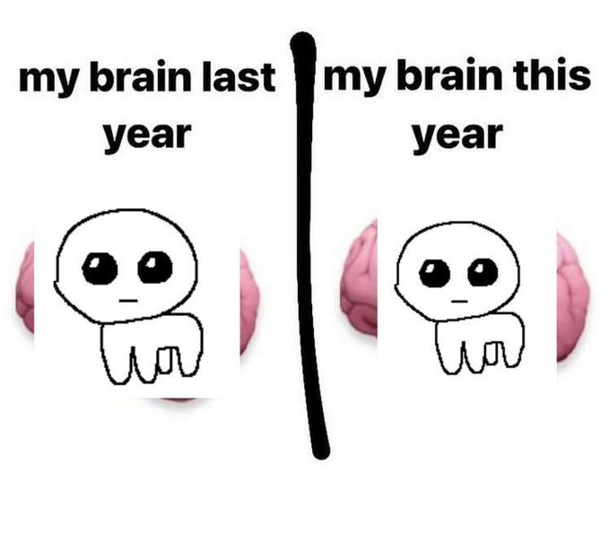 A meme comparing 'my brain last year' to 'my brain this year' using two identical simple cartoon figures, separated by a vertical black line, with brain illustrations visible on the sides.