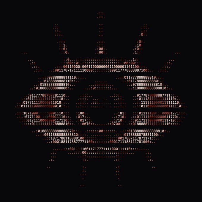 An ASCII art skull rendered in orange text against a black background, featuring repeating patterns of "0" and "1" characters that resemble binary code. The image relates to the post about @0xNTRPY, with the binary-style typography evoking a digital or cryptographic aesthetic fitting the theme of the username.