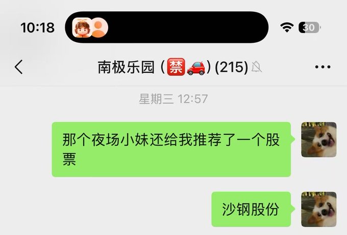A WeChat screenshot shows a user in the "南极乐园" (215) chat group sharing that a "夜场小妹" (night-shift girl) recommended a stock, specifically naming "沙钢股份" (Shagang Shares), with the caption referencing "night scenes" and "listening to the main force's words" to highlight how tips from night workers are taken seriously as stock advice.