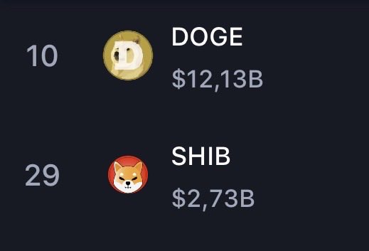 The image shows a cryptocurrency ranking list featuring DOGE at position #10 with a market cap of $12.13B, and SHIB at position #29 with a market cap of $2.73B. This relates to the post expressing confidence in these meme coins, highlighting DOGE already in the top 10 while anticipating SHIB's climb back into the top rankings.
