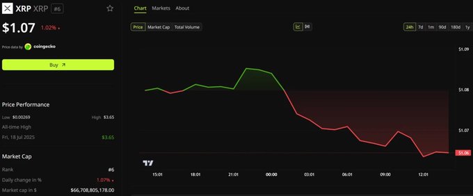 A cryptocurrency tracking page displays XRP priced at $1.07, down 1.02%, with a 24-hour chart showing a decline from around $1.08 to below $1.07, and a market cap of $66,708,805,178. The image contextualizes the discussion of Ripple's institutional investments by showing XRP's current subdued price action, which contrasts with the post's commentary on Ripple's strategic moves to attract institutional capital through stakes in UK firms ZILO and Licuido.