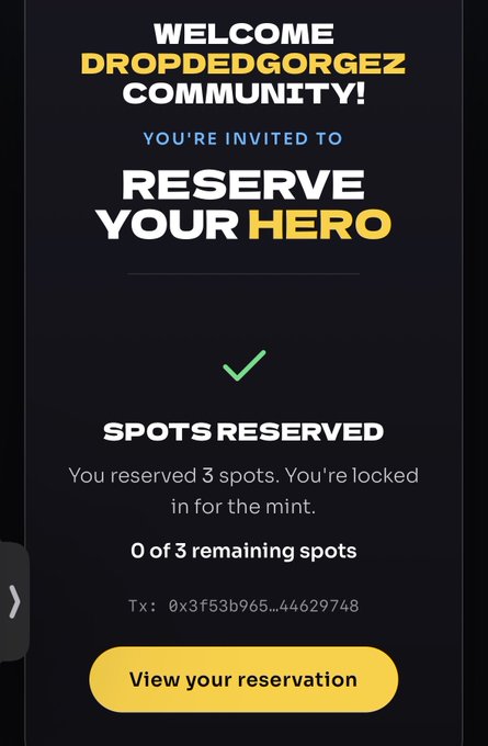 A welcome screen for 'DROPPEDGORGEZ COMMUNITY!' confirming 'SPOTS RESERVED' with text reading 'You reserved 3 spots. You're locked in for the mint.'