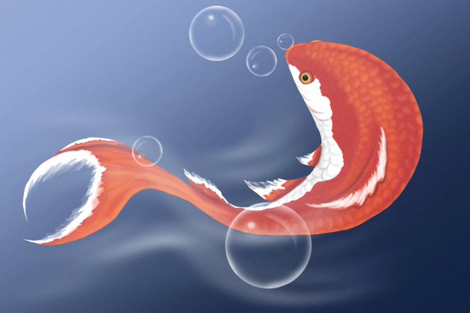 A digital illustration of an orange and white koi fish with flowing fins swimming among bubbles against a blue background.