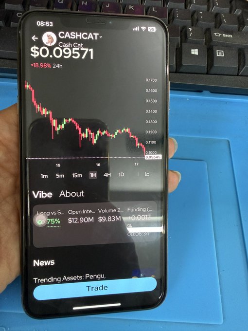 A hand holds a smartphone displaying a crypto trading app with the ticker 'CASHCAT' (Cash Cat) showing a price of $0.09571 and a 24-hour drop of -18.98%.