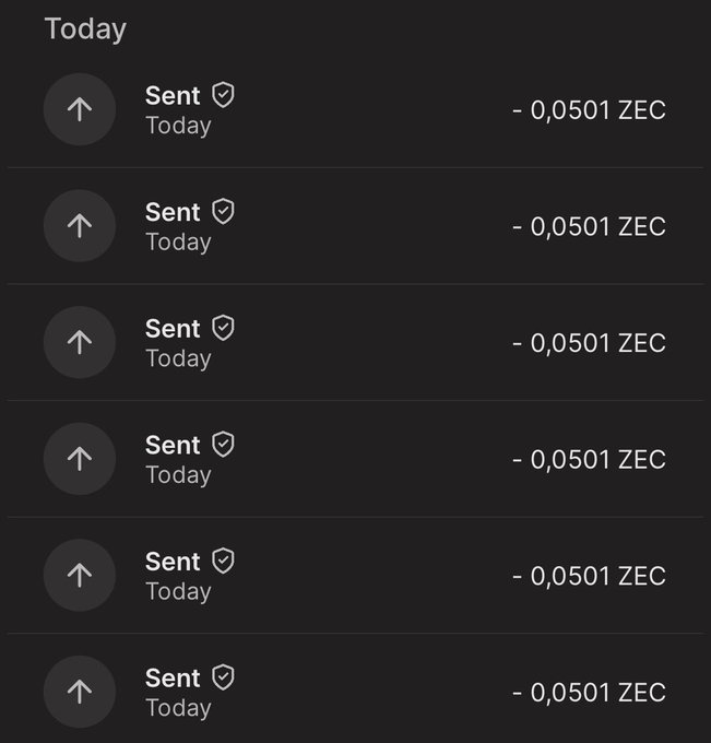 A cryptocurrency transaction history showing six identical 'Sent Today' entries, each deducting 0.0501 ZEC (Zcash).