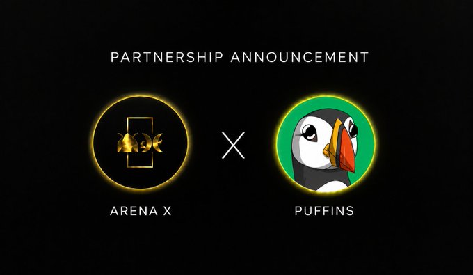A partnership announcement graphic on a black background showing logos for 'ARENA X' and 'PUFFINS' (a penguin mascot) separated by an X symbol.