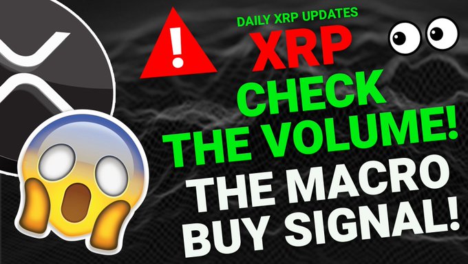 A bold thumbnail featuring a shocked emoji, a warning sign, and XRP logo reads "DAILY XRP UPDATES - XRP CHECK THE VOLUME! THE MACRO BUY SIGNAL!"—aligning with the post's YouTube video announcement about XRP market analysis.