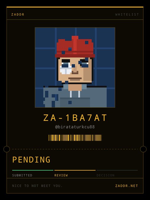 A pixel art style ID card displaying the username 'ZA-1BA7AT' with handle '@birataturkcu88', showing a character with red hair and a bloody nose. The status reads 'PENDING' with progress bars for 'SUBMITTED', 'REVIEW', and 'DECISION', along with the text 'ZADDR', 'WHITELIST', and 'NICE TO NOT MEET YOU. ZADDR.NET'.