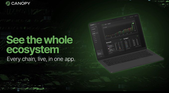Canopy promotional banner reading 'See the whole ecosystem - Every chain, live, in one app,' featuring a laptop displaying a crypto portfolio dashboard over a green-tinted cityscape.