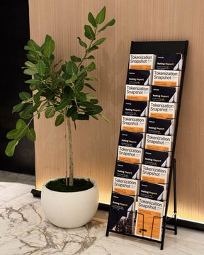 A potted plant sits next to a brochure stand labeled 'Tokenization Snapshot' in what appears to be a lobby or office reception area.