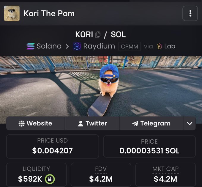 A cryptocurrency page on a trading platform showing 'KORI / SOL' (Solana > Raydium CPMM via Lab) with a meme image of a Pomeranian dog in a blue cap and sunglasses riding a skateboard, priced at $0.004207.