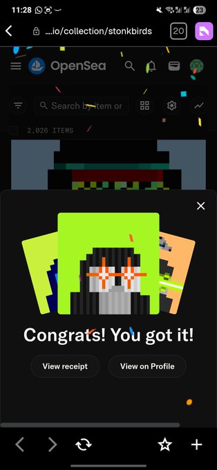 A mobile screenshot of the OpenSea NFT marketplace displaying a pixel art bird character with the text 'Congrats! You got it!'