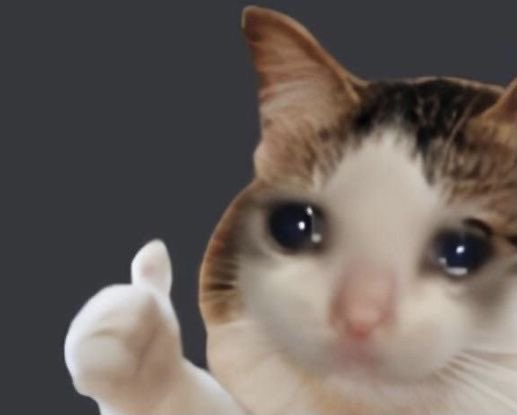 A close-up of a teary-eyed crying cat giving a thumbs up, perfectly capturing the ironic optimism of someone who missed major gains yet still believes in their strategy.