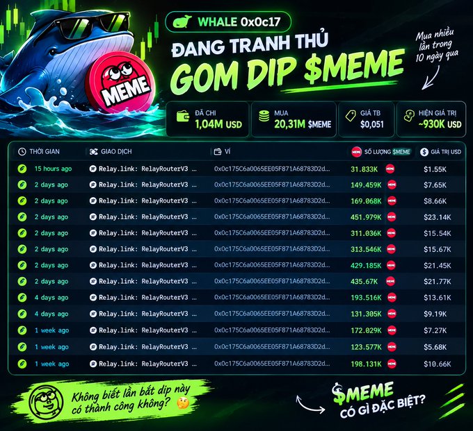 A crypto tracker interface for 'WHALE 0x0c17' showing accumulated $MEME coin purchases, with text in Vietnamese 'ĐANG TRANH THỦ GOM DIP $MEME', wallet balance 1.04M USD, and 20.31M $MEME tokens bought at average price $0.051.