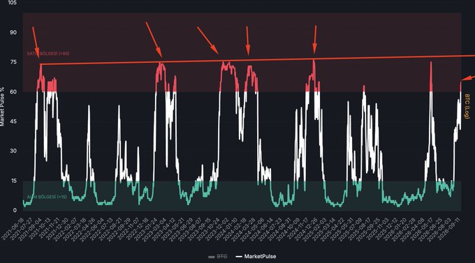 A financial chart titled 'Market Pulse %' showing red peaks marked by arrows as SELL BOLDS (>80) and a green trough zone marking BUY BOLDS (<10), tracking SPG against MarketPulse from August to September.