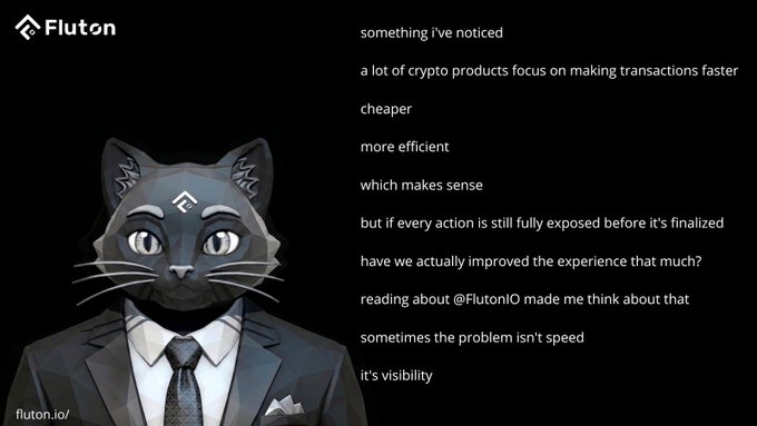 The image features a stylized gray cat character wearing a suit and tie alongside the Fluton logo, with text discussing how crypto transactions remain visible before finalization—questioning whether speed and efficiency improvements truly enhance the user experience if privacy/visibility issues persist.