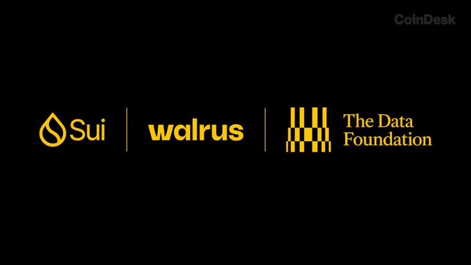 Black screen displaying the logos for Sui, walrus, and The Data Foundation, with a CoinDesk watermark in the upper right.