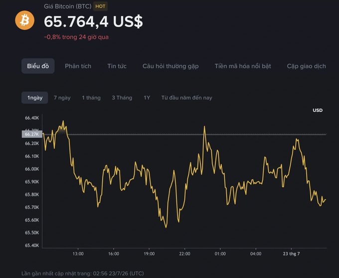 This image shows a Bitcoin price chart (Giá Bitcoin) displaying a current value of 65.764,4 US$, down 0.8% in the last 24 hours, with a 1-day line graph illustrating volatility as the price hovers around the $65K support level.