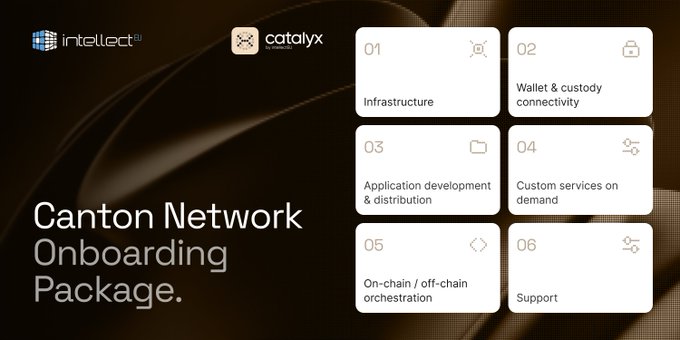 A presentation slide titled "Canton Network Onboarding Package" featuring the intellect ai and Catalyx logos, displaying a 3x2 grid of six numbered components: (01) Infrastructure, (02) Wallet & custody connectivity, (03) Application development & distribution, (04) Custom services on demand, (05) On-chain/off-chain orchestration, and (06) Support.

The image visually maps to the post's description by illustrating the complete six-stage onboarding lifecycle onto the Canton Network, covering everything from foundational infrastructure setup through ongoing operational support as outlined in Catalyx's six-part series.