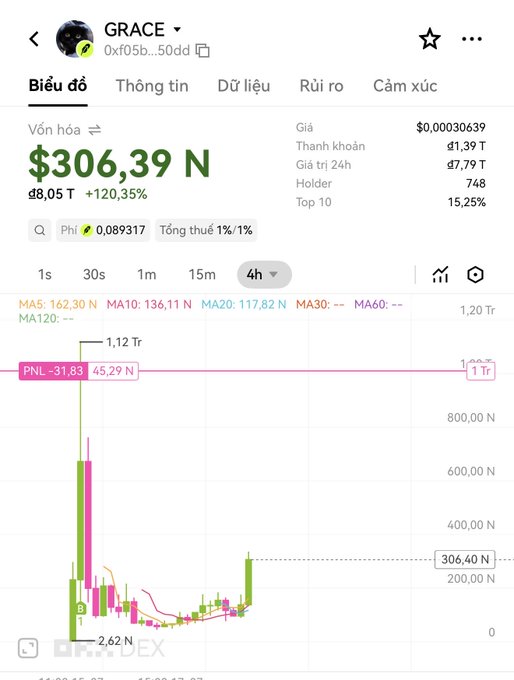 A cryptocurrency price chart from Dex Screener showing token GRACE with a market cap of $306.39 N, up 120.35%, with a 4h price chart displaying candlestick patterns and moving averages.
